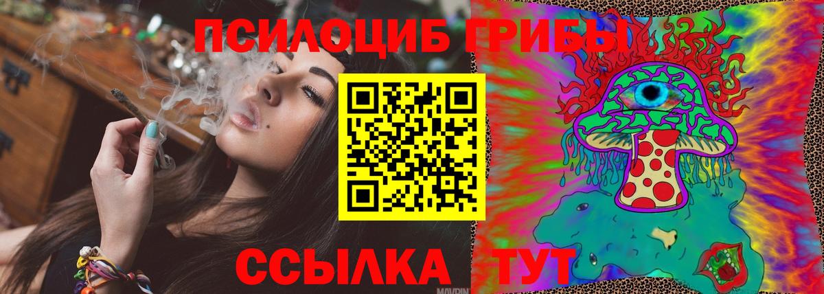 Елизово  наркота  Вход с VPN  Псилоцибиновые грибы мухоморы 